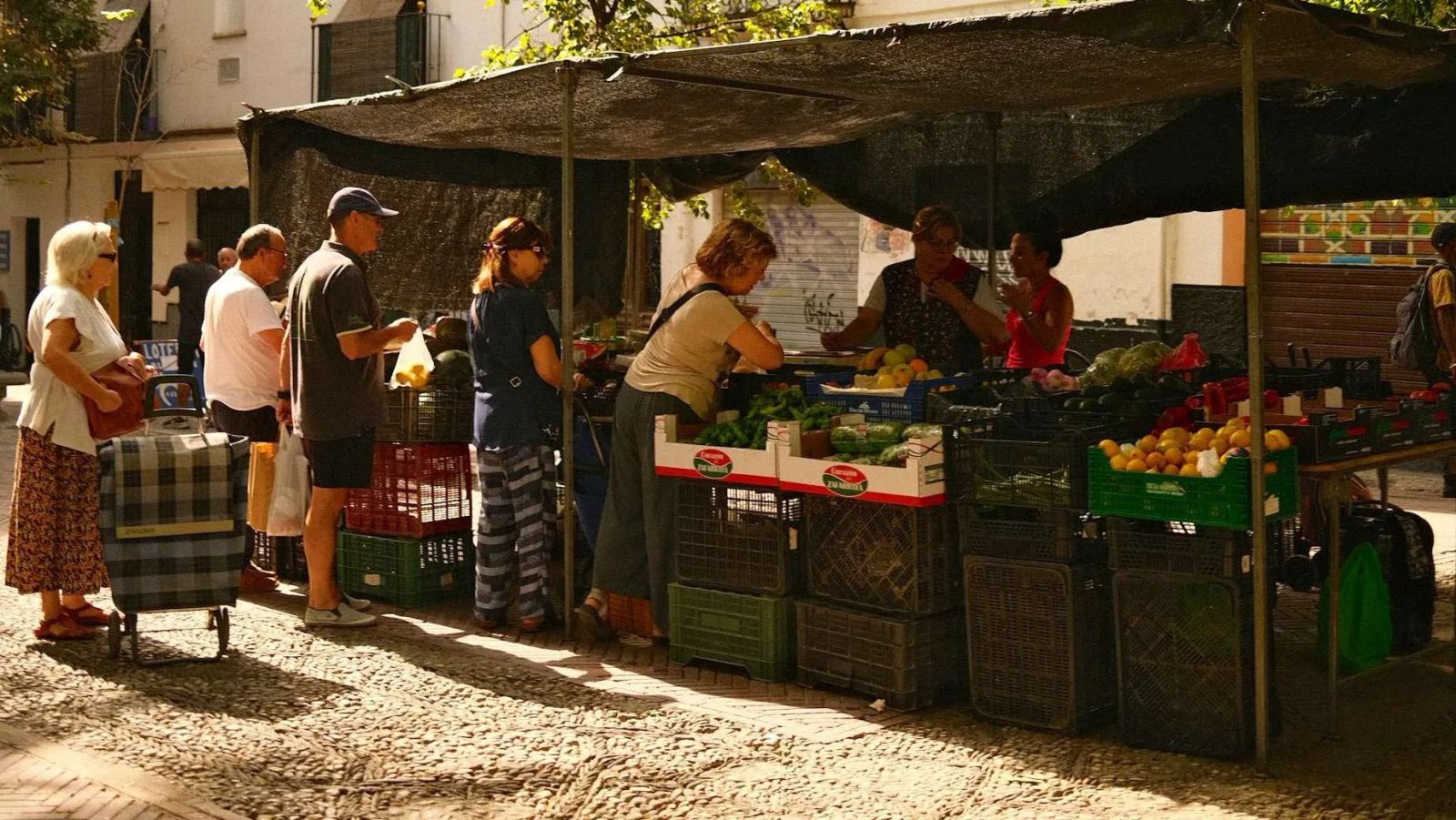 Living crunch: The cost of living keeps rising, straining household budgets and restricting access to essential goods and services.