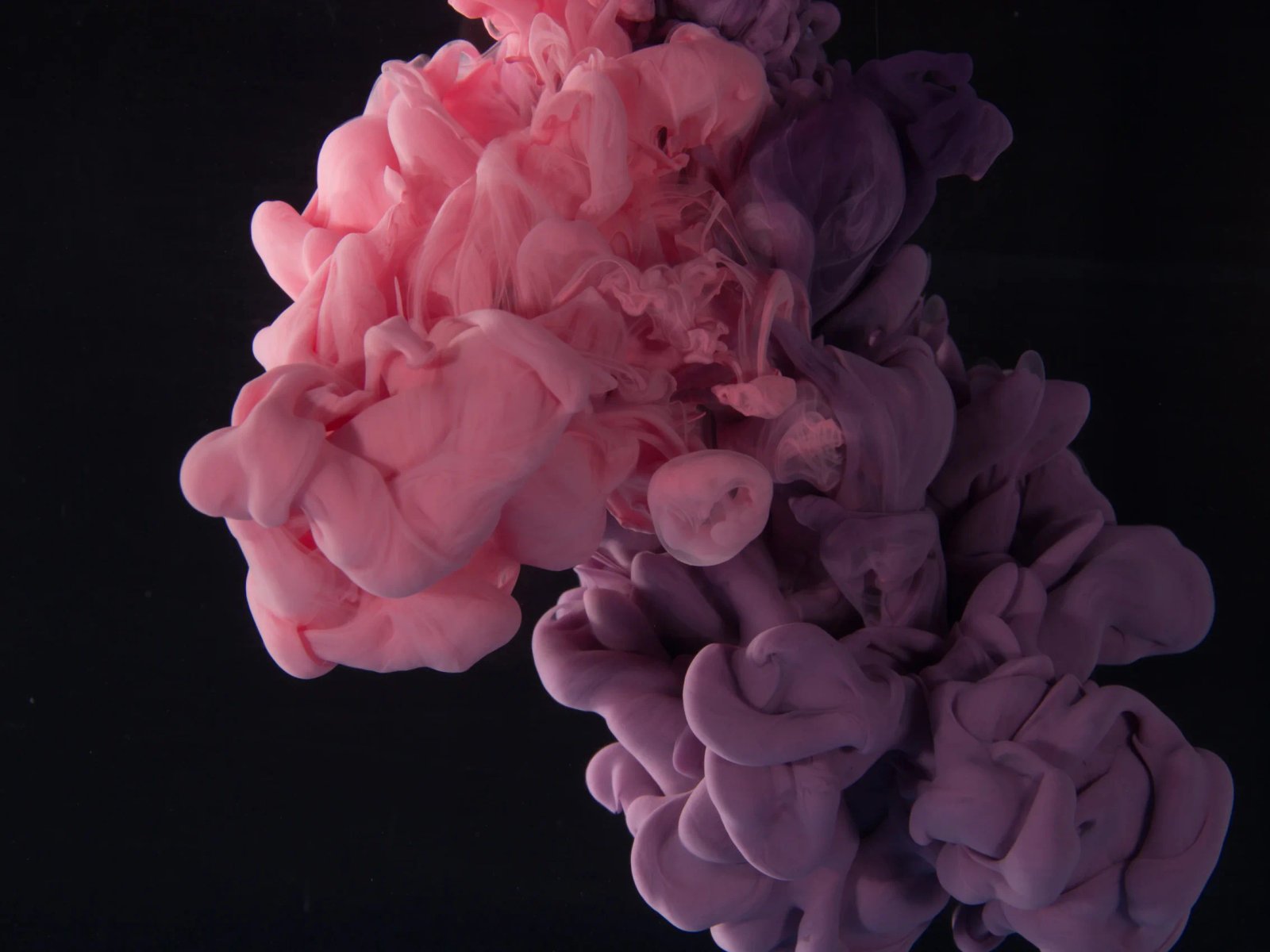 UX Trends 2019 cover: a cloud of pink and purple ink spreading out against a black background.