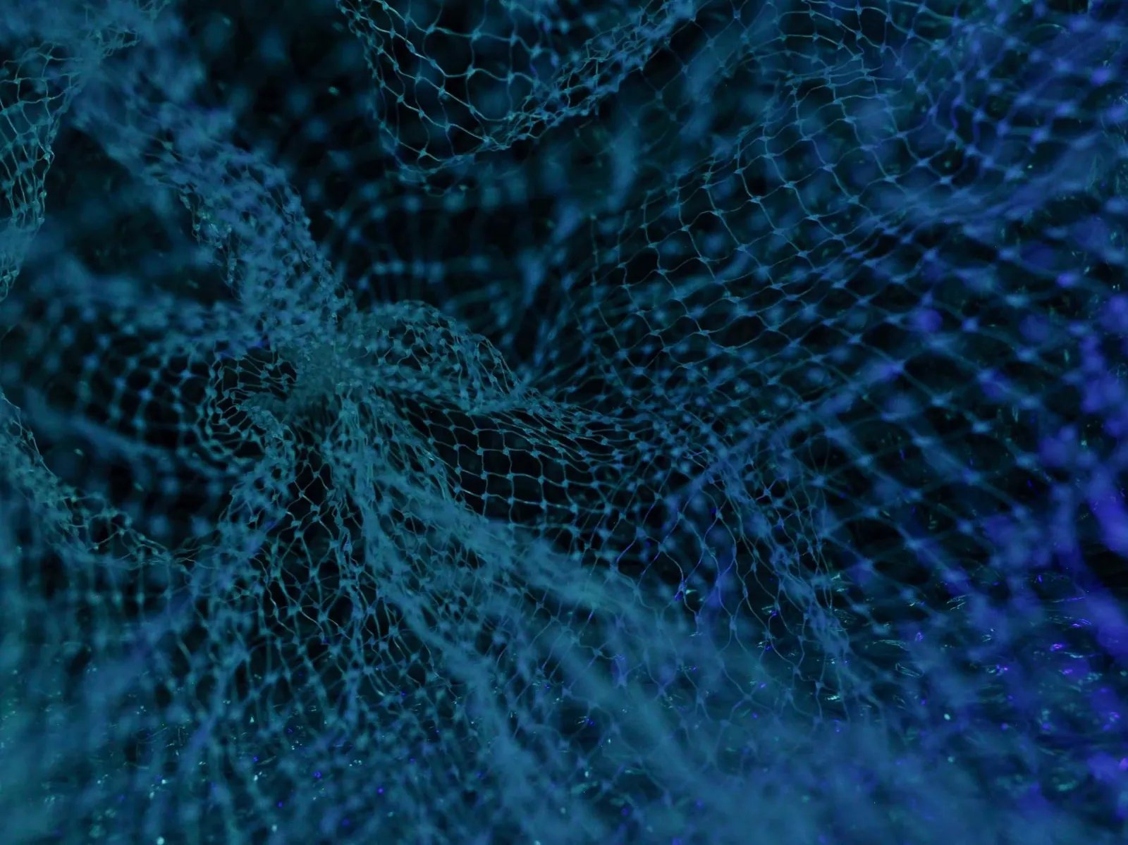 Web 3.0