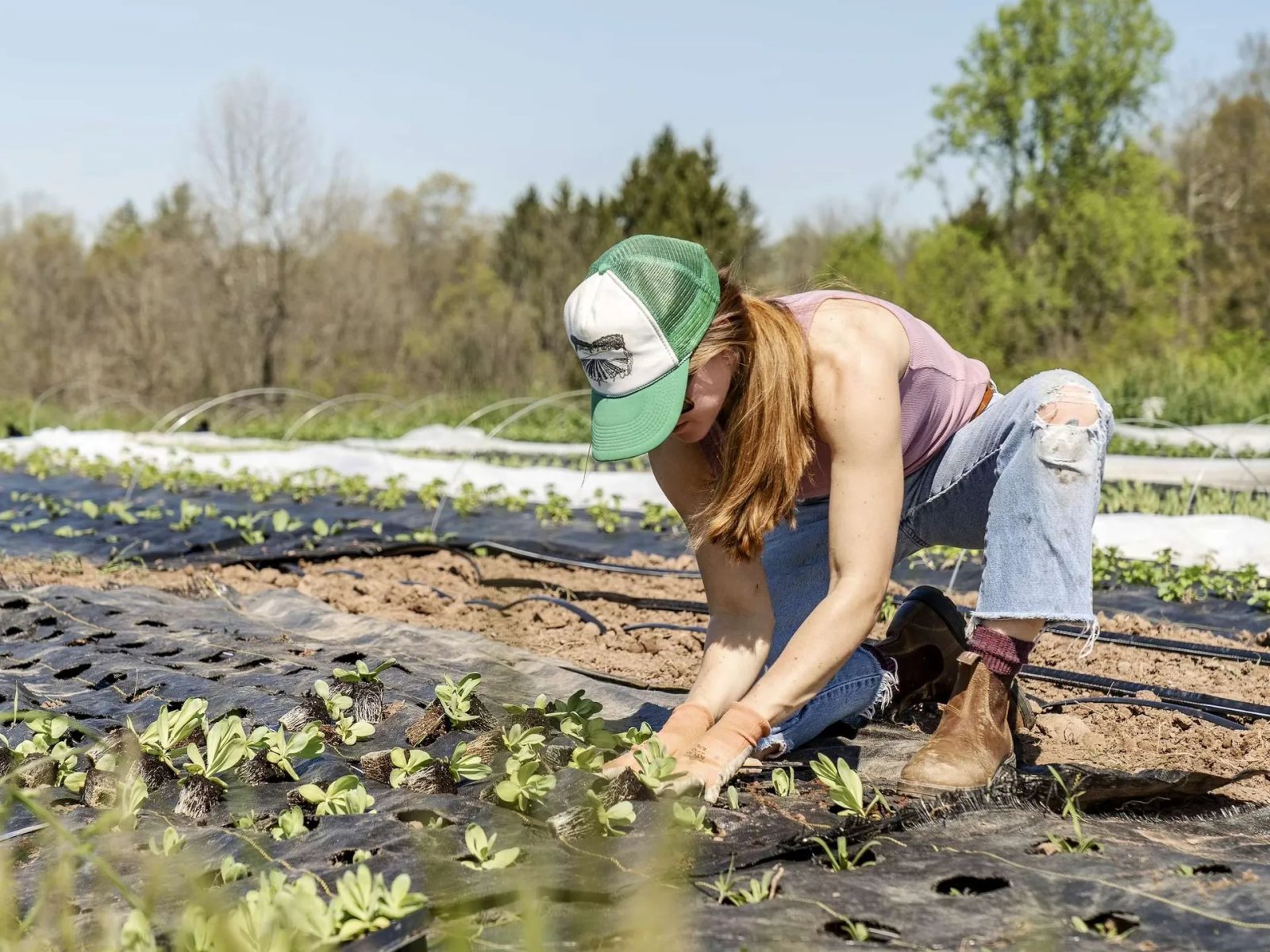 Impact thrice: Companies bet on creating shared value beyond their own existence.