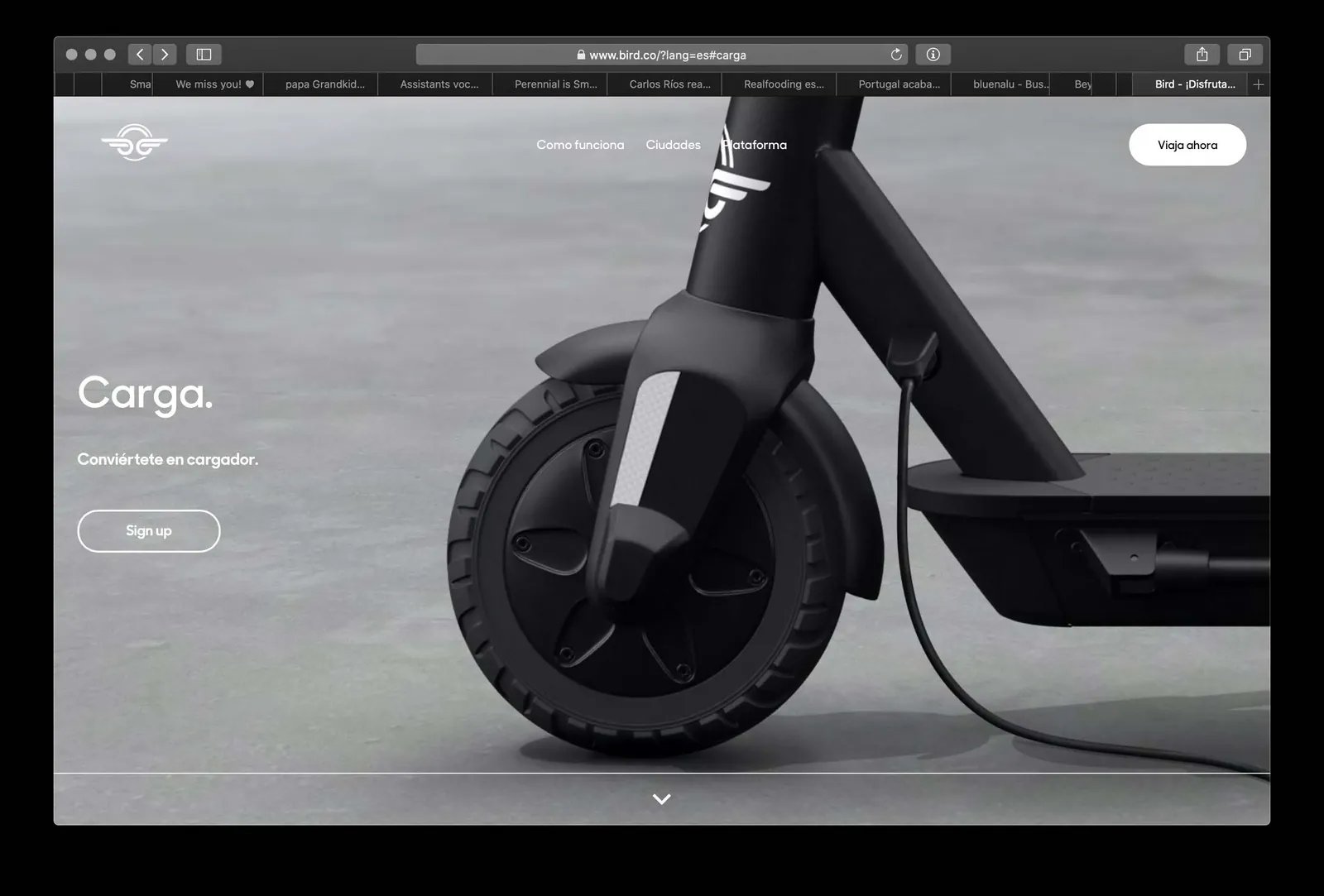 Your own scooter fleet: Electric scooters for entrepreneurs and small businesses.