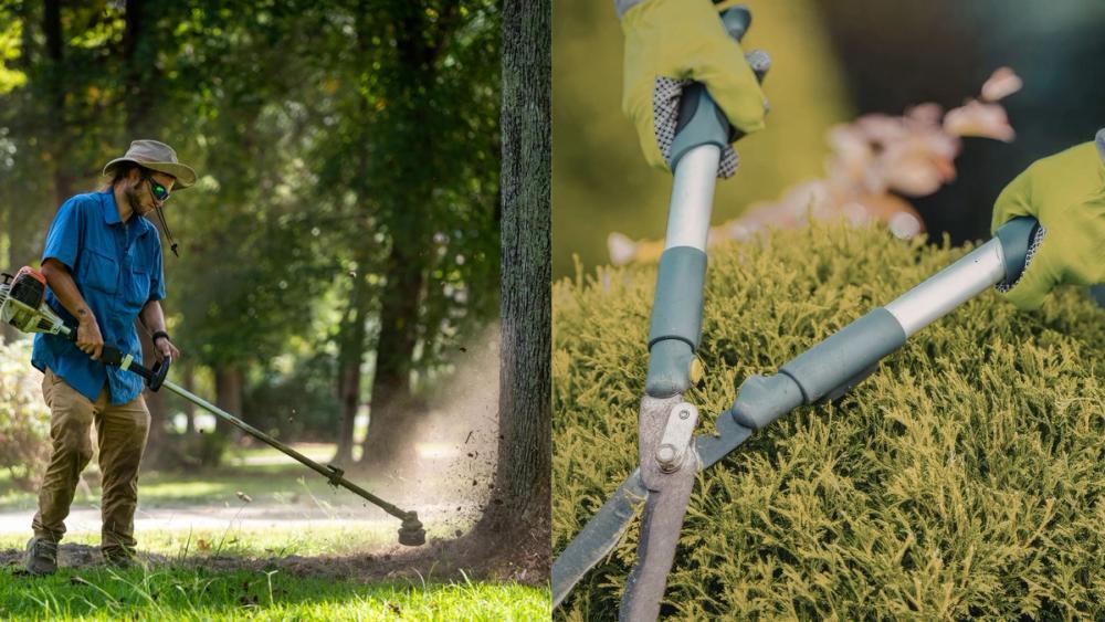 image of Hedge Trimming Cost Calculator image of Hedge Trimming Cost Calculator