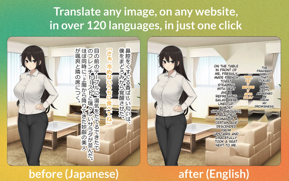 image of Torii Image Translator