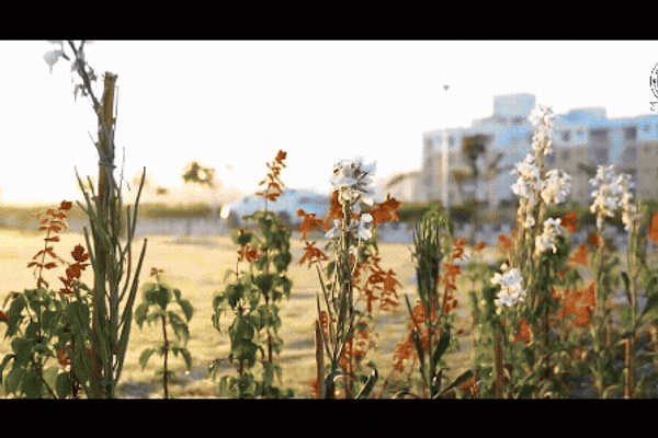 IIT Ropar Campus Tour