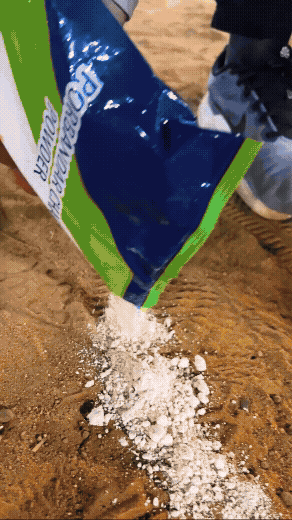 Instructors vs Students