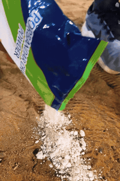 Instructors vs Students