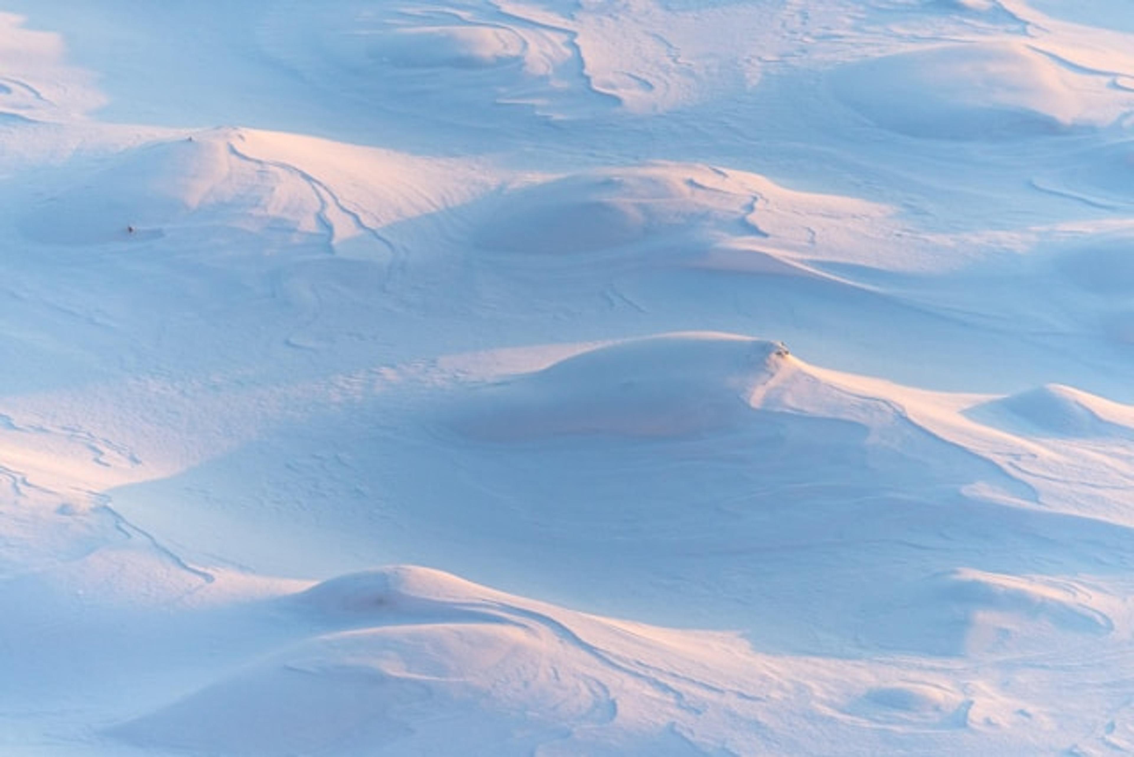 Beautiful Japanese Names That Mean Snow