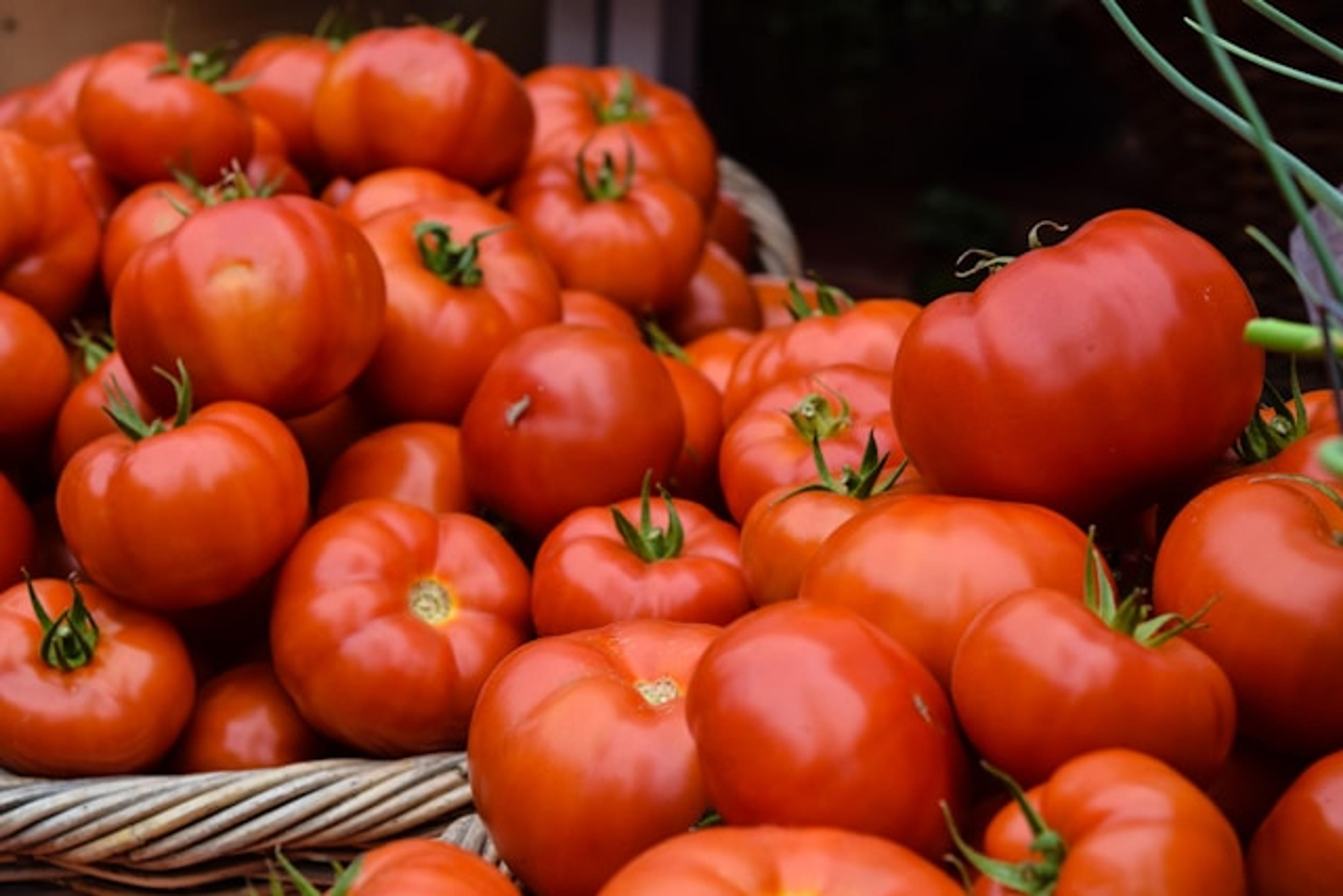  Tomato Names