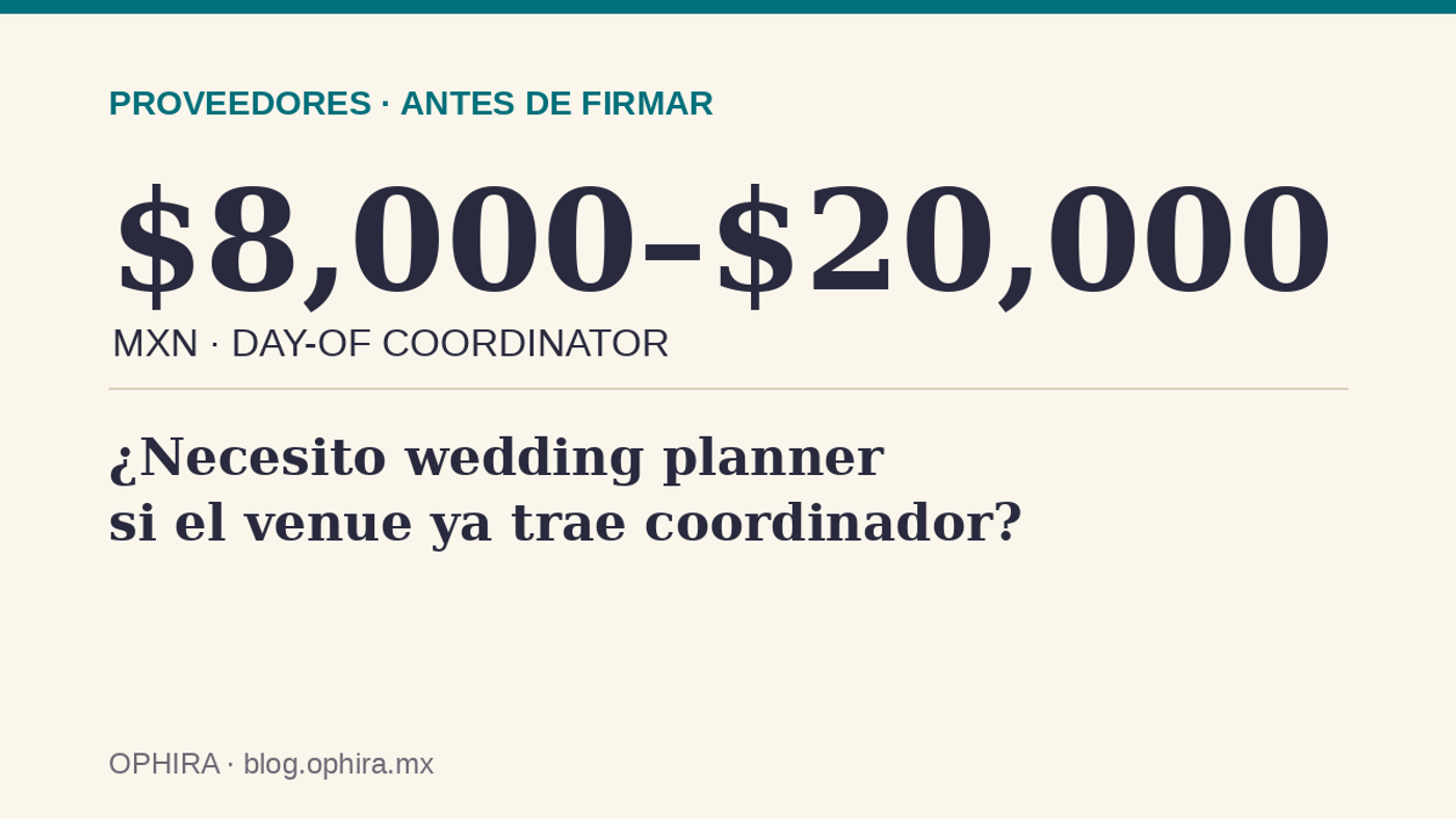 8000-20000 coordinador