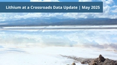 Lithium at a Crossroads Data Update