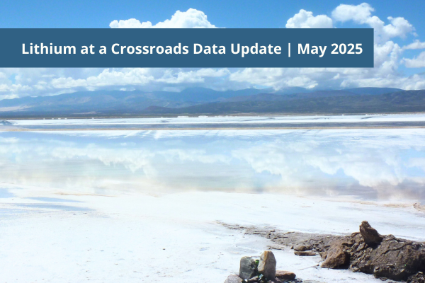 Lithium at a Crossroads Data Update