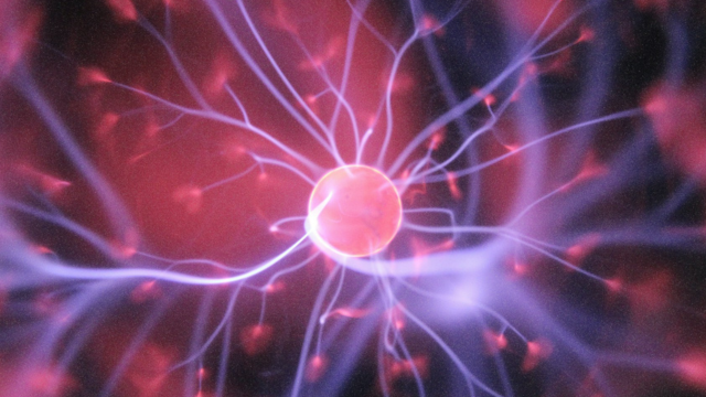Fusion Update: 2026 Supply-Chain and Global Industry Insights