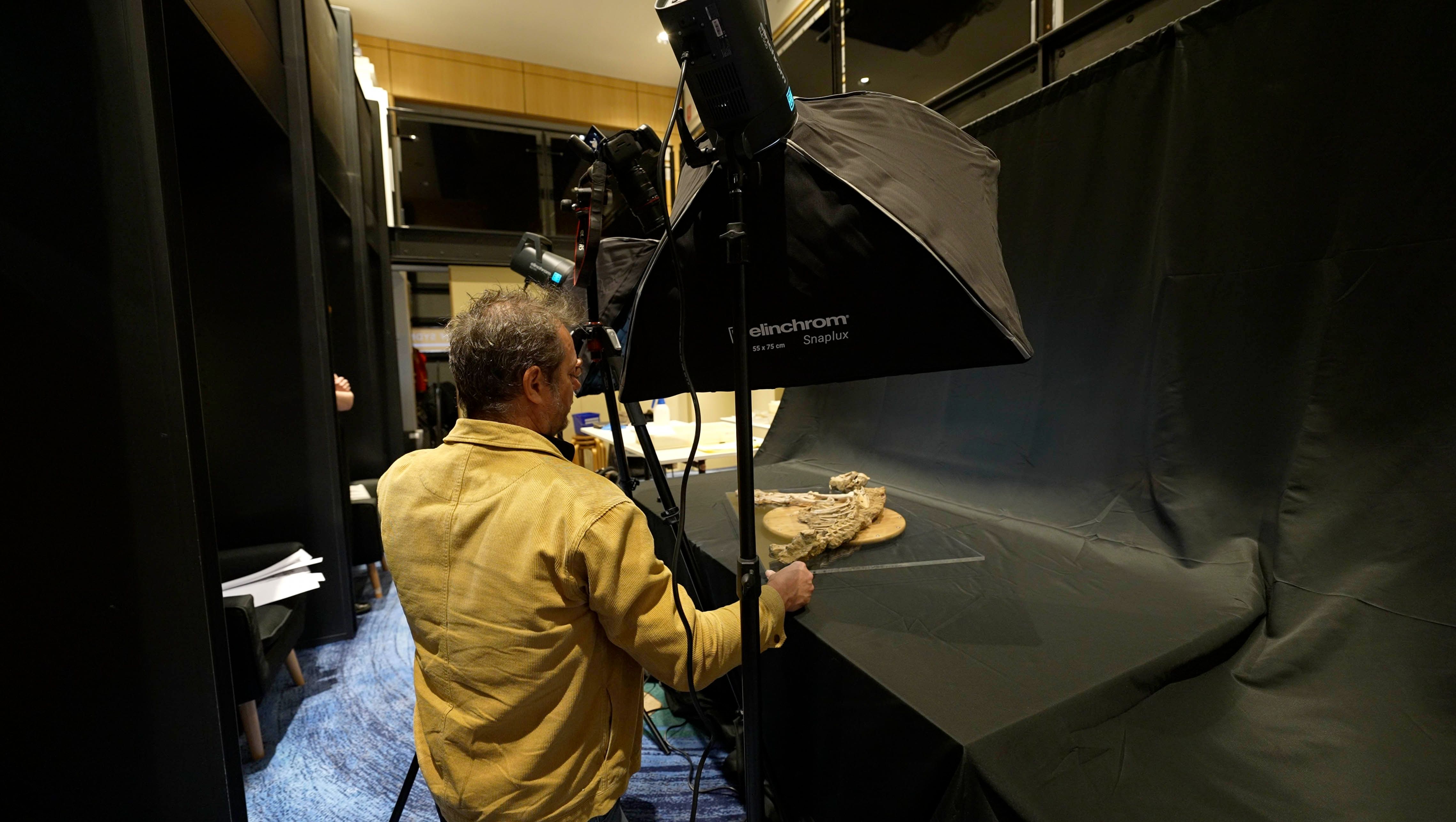A man photographing a large dog skeleton