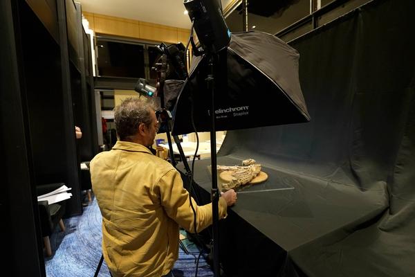 A man photographing a large dog skeleton