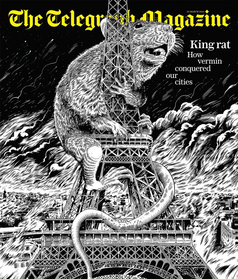 Illustration showcasing this artists portfolio