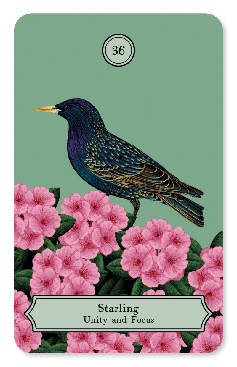 Illustration showcasing this artists portfolio