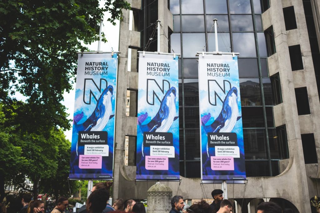 Illustration showcasing this artists portfolio