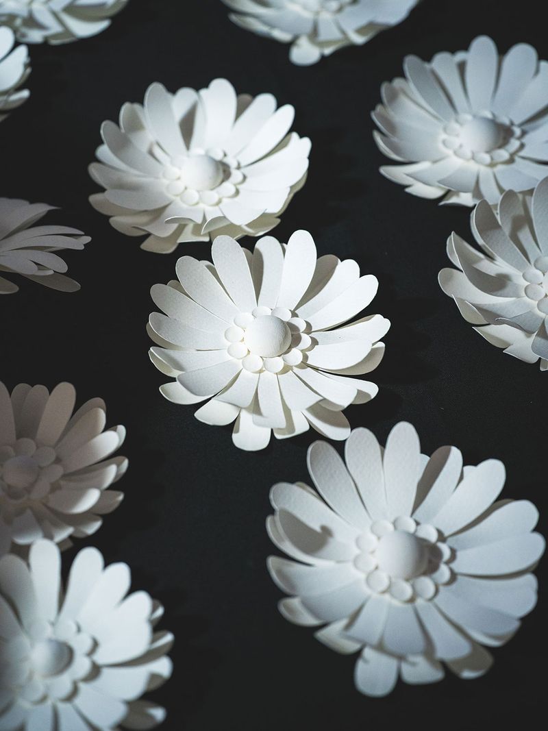 Illustration showcasing this artists portfolio