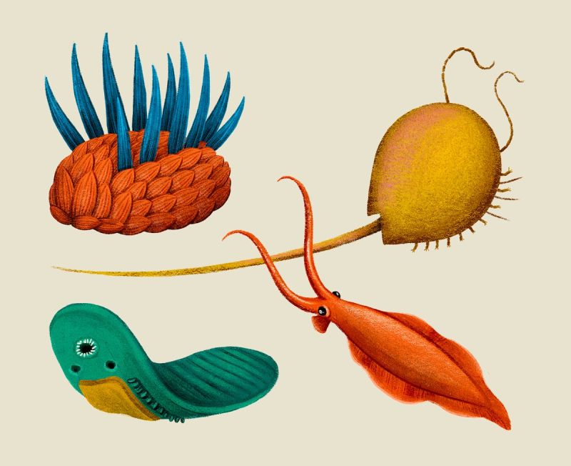 Illustration showcasing this artists portfolio