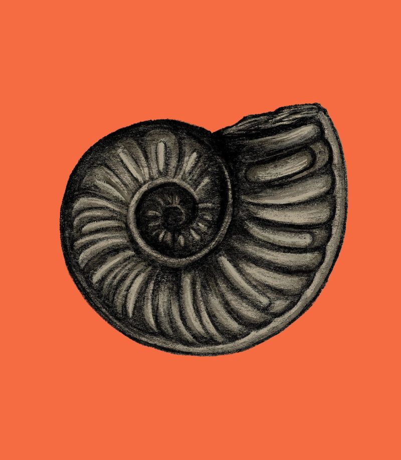 Illustration showcasing this artists portfolio