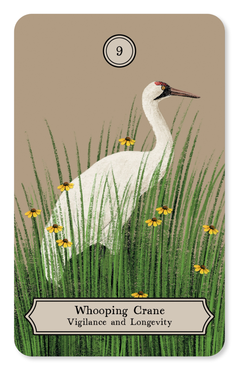 Illustration showcasing this artists portfolio