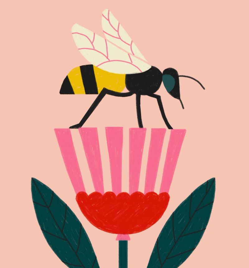 Illustration showcasing this artists portfolio