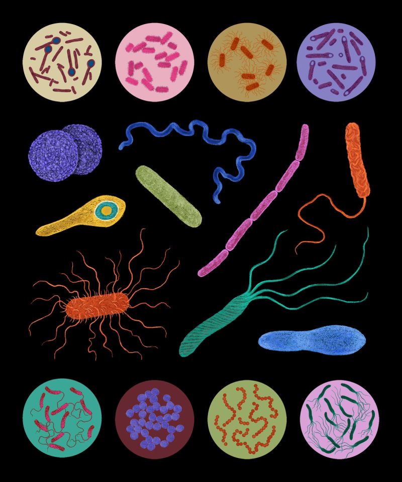 Illustration showcasing this artists portfolio