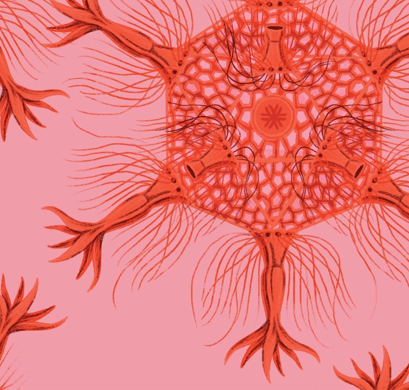 Illustration showcasing this artists portfolio