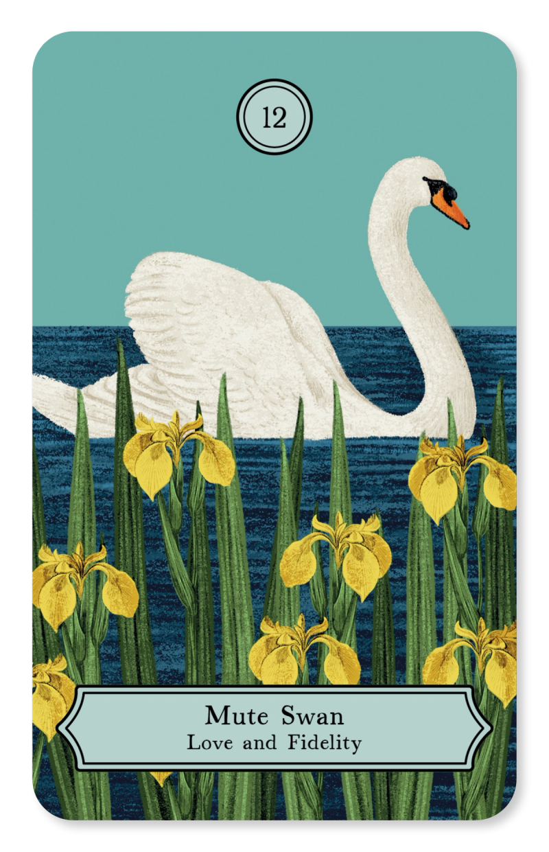 Illustration showcasing this artists portfolio