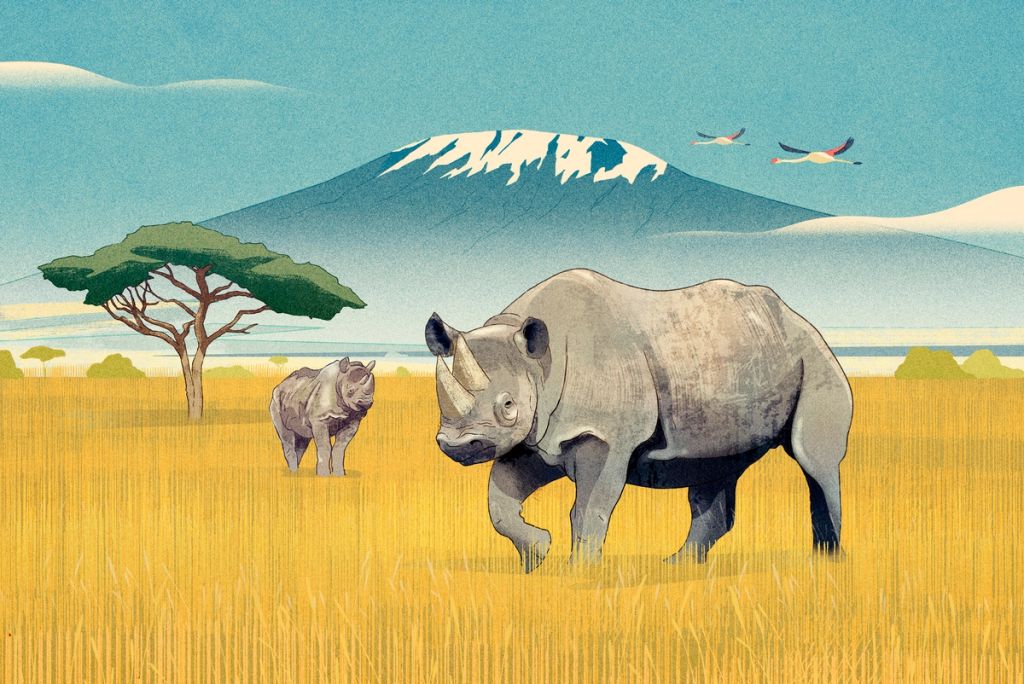 Illustration showcasing this artists portfolio