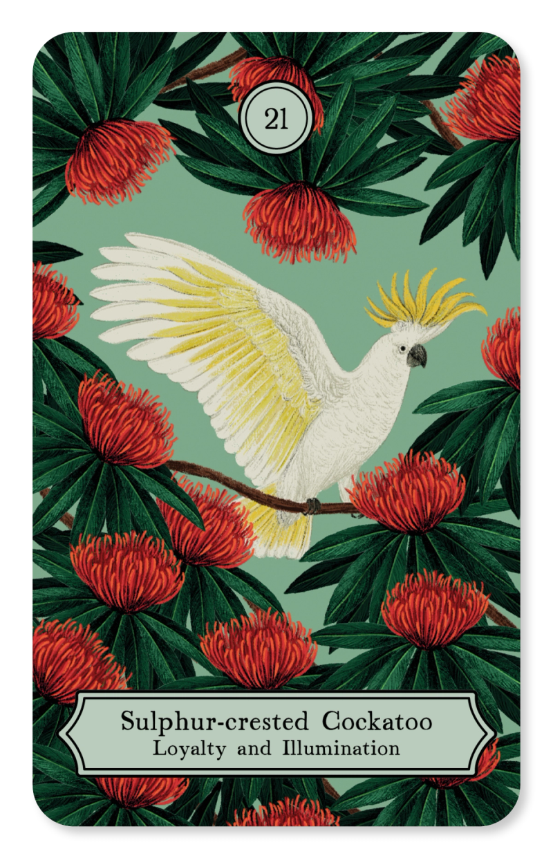 Illustration showcasing this artists portfolio