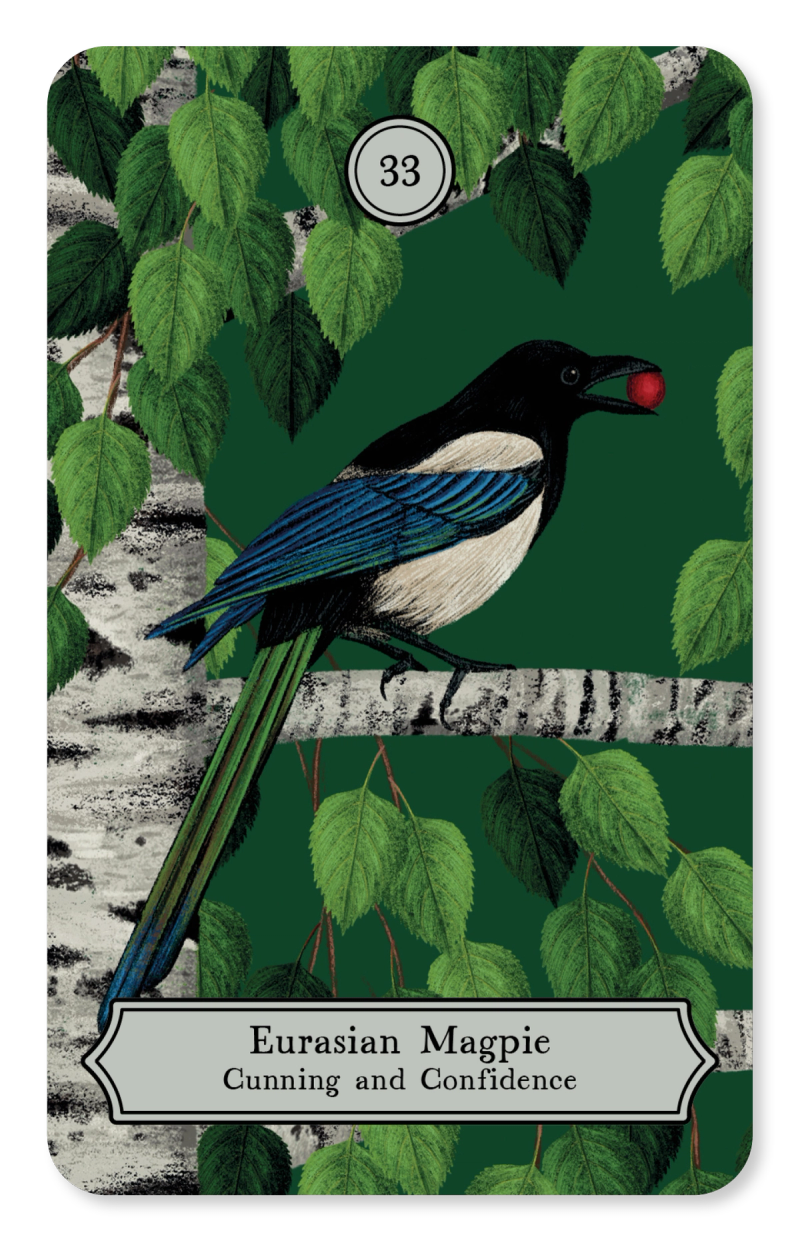 Illustration showcasing this artists portfolio