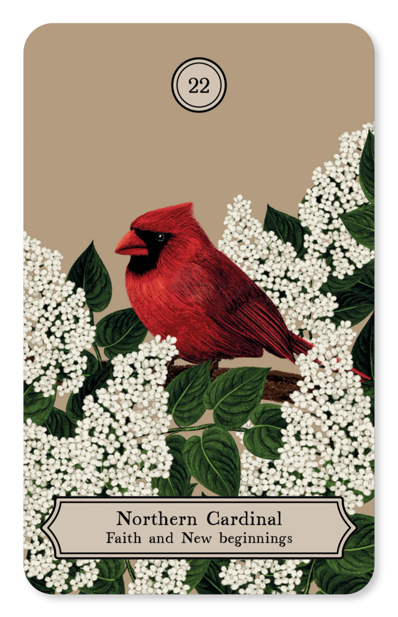 Illustration showcasing this artists portfolio