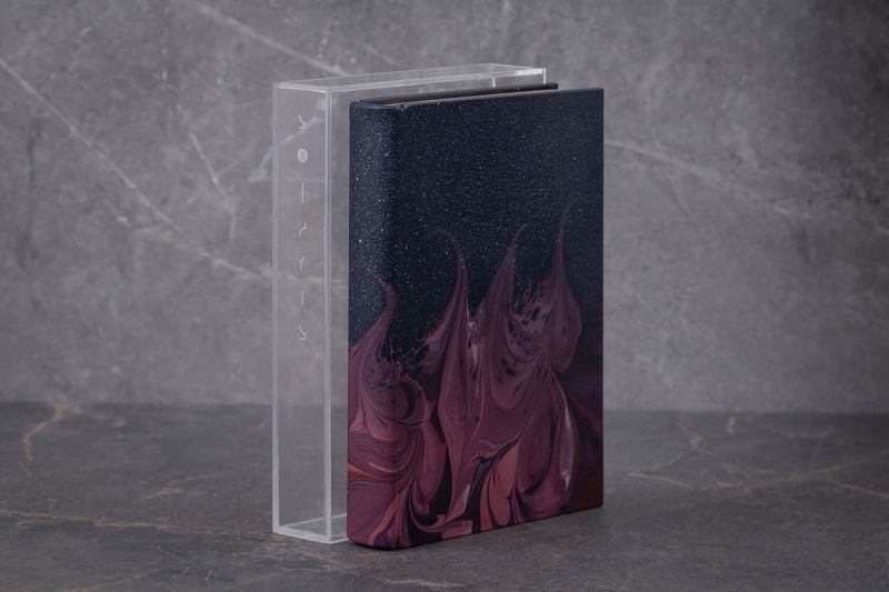 Illustration showcasing this artists portfolio