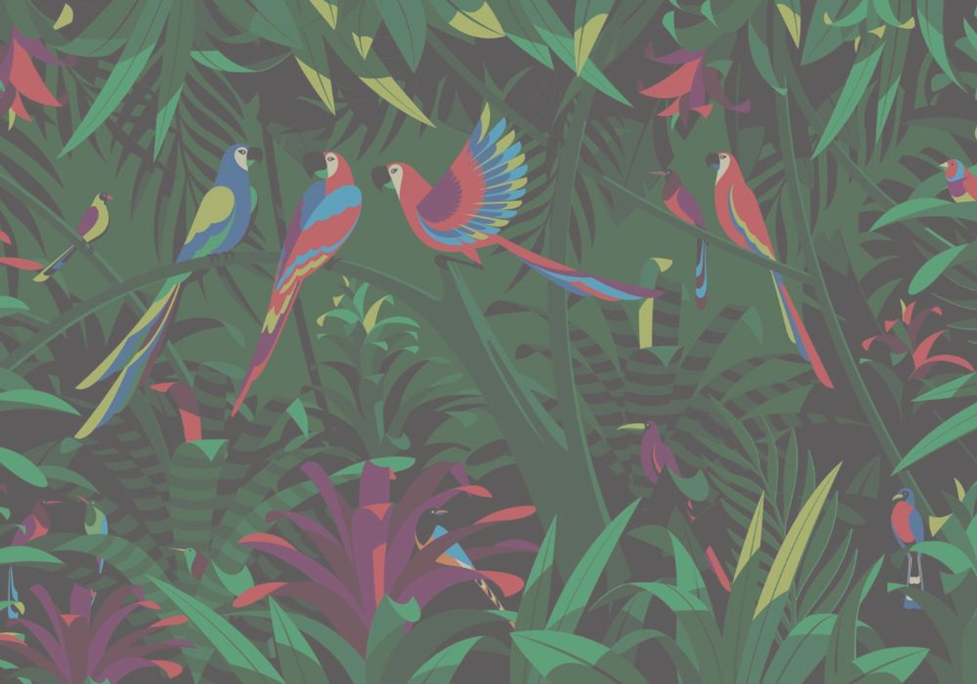 Stylized illustration of colorful tropical birds in a lush jungle.