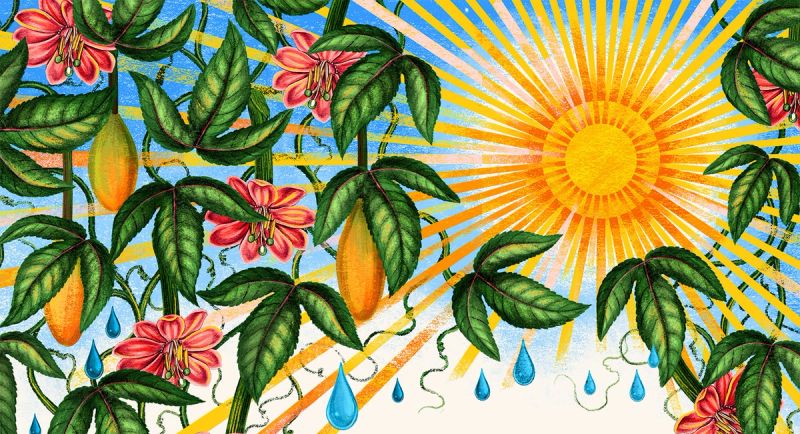 Illustration showcasing this artists portfolio