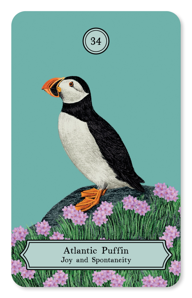 Illustration showcasing this artists portfolio