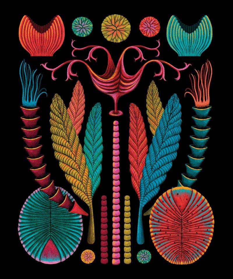 Illustration showcasing this artists portfolio