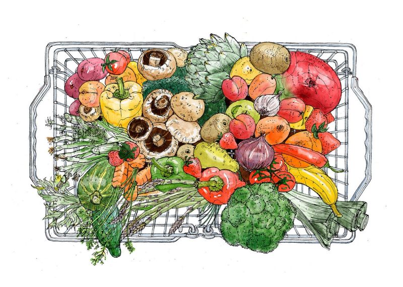 Illustration showcasing this artists portfolio