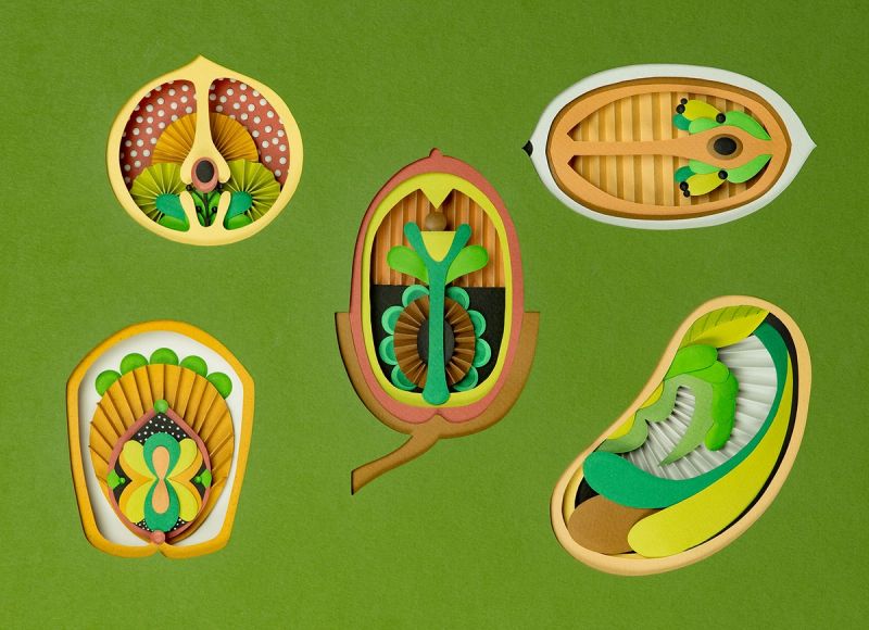 Illustration showcasing this artists portfolio