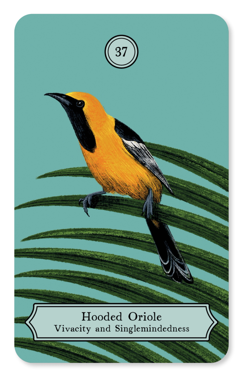 Illustration showcasing this artists portfolio