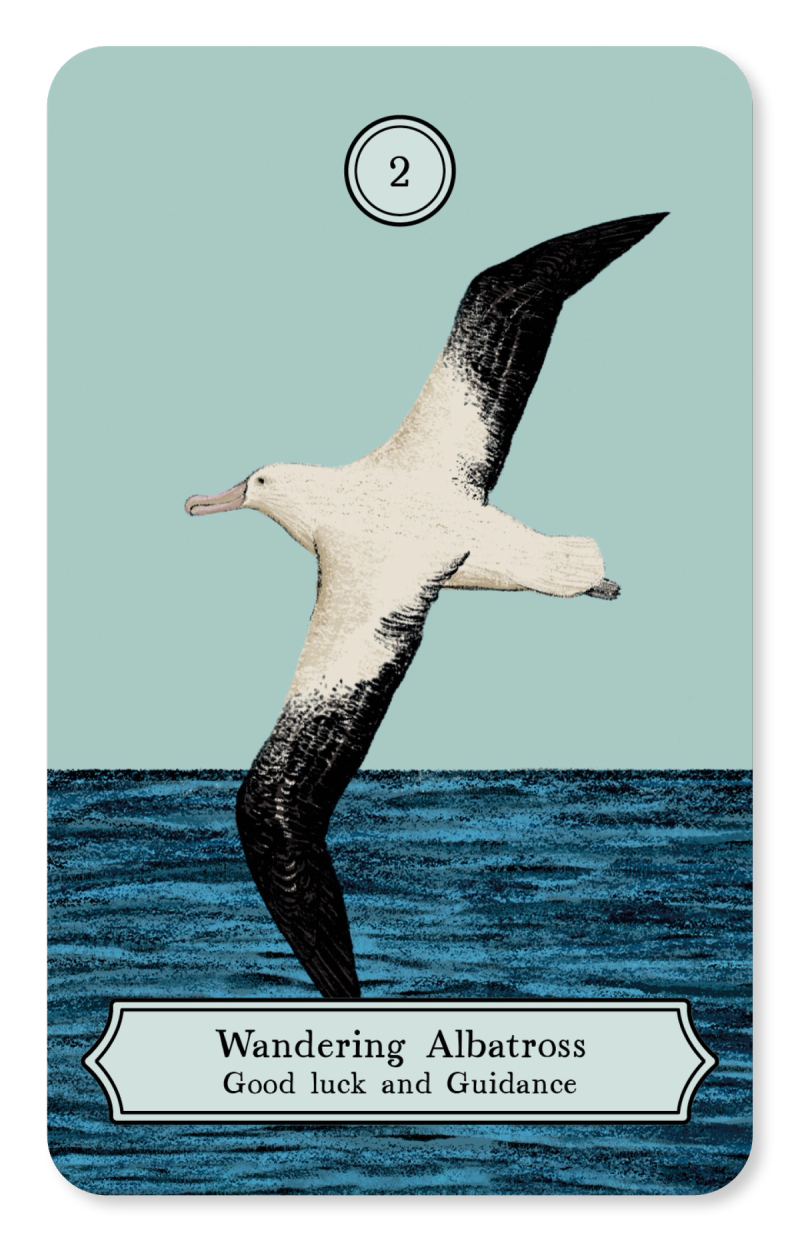 Illustration showcasing this artists portfolio