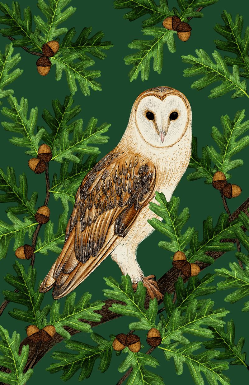 Illustration showcasing this artists portfolio