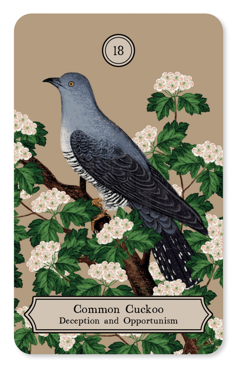 Illustration showcasing this artists portfolio