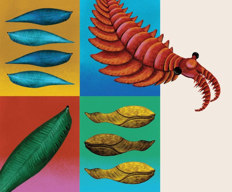 Illustration showcasing this artists portfolio