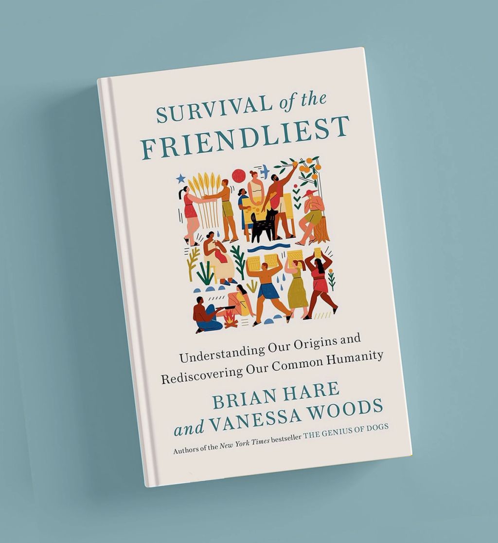 Illustration showcasing this artists portfolio