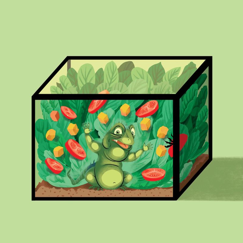 Illustration showcasing this artists portfolio