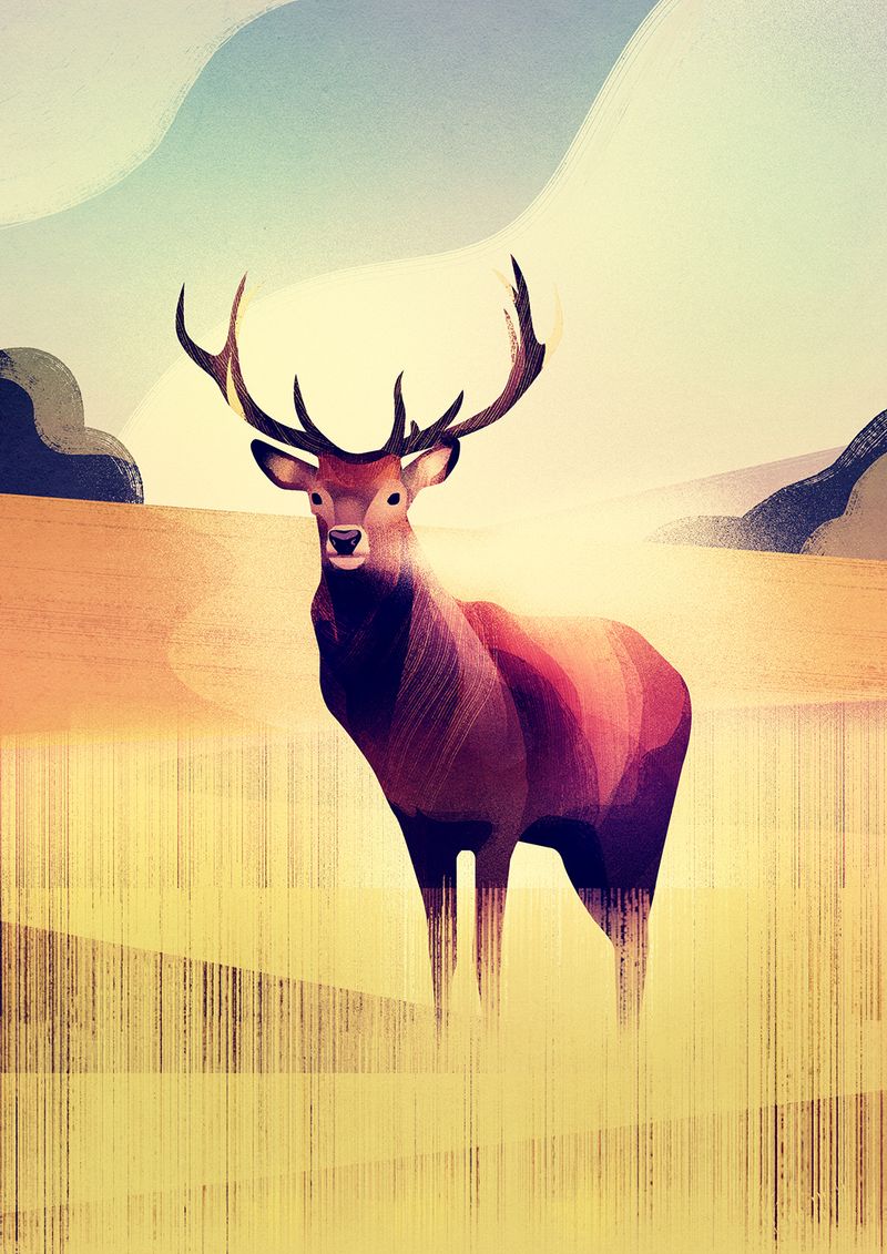 Illustration showcasing this artists portfolio