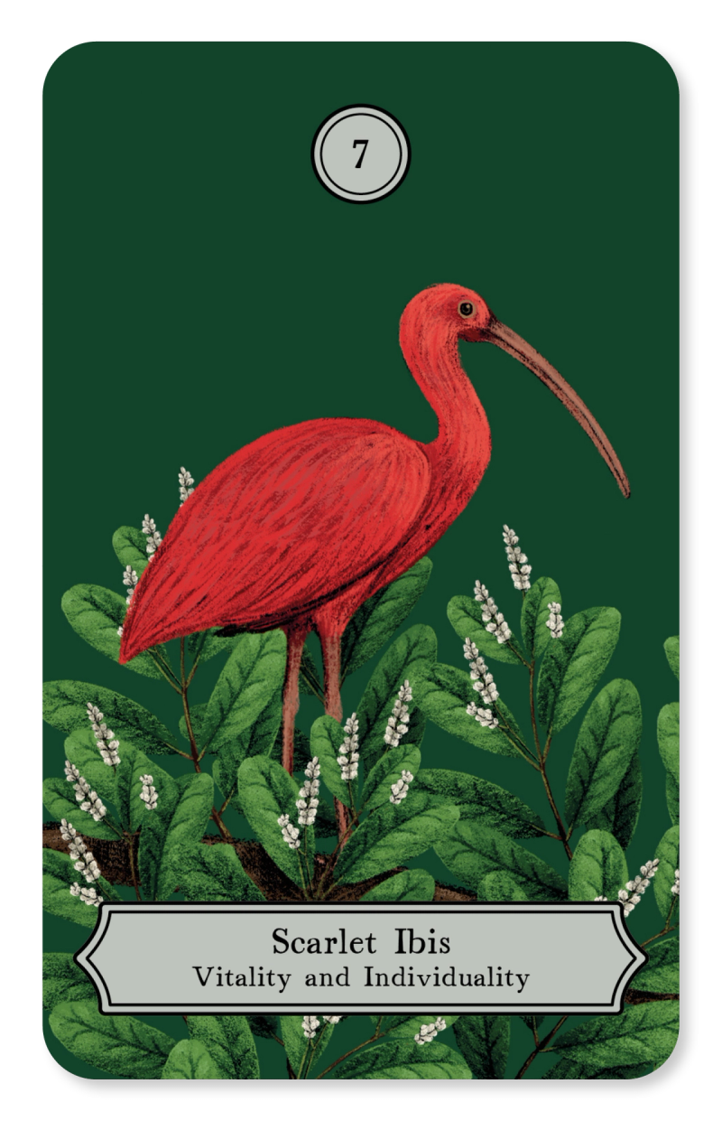Illustration showcasing this artists portfolio