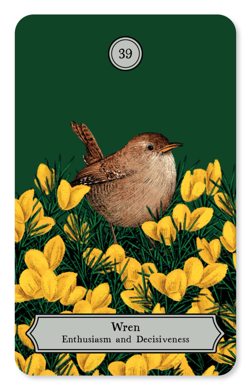 Illustration showcasing this artists portfolio